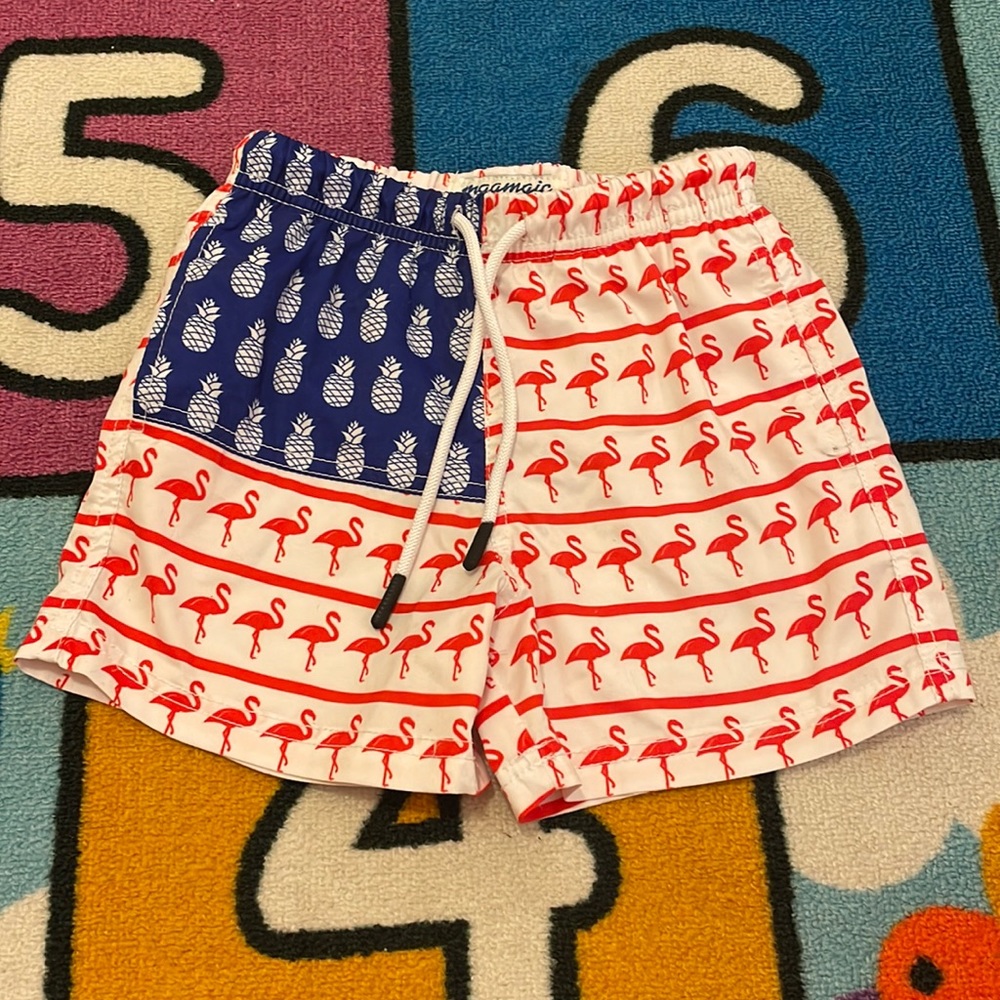 Boys American Flag USA pineapple and flamingo swim trunks